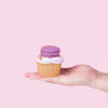 Rainbow Macarons Cupcakes (25 Pieces) Cupcakes Junandus (Penang) - CakeRush