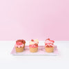 Dusty Pink Ombre Cupcakes (9 Pieces) Cupcakes Junandus (Penang) - CakeRush